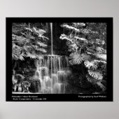 Mittelwestlicher Regenwald Poster (Vorne)