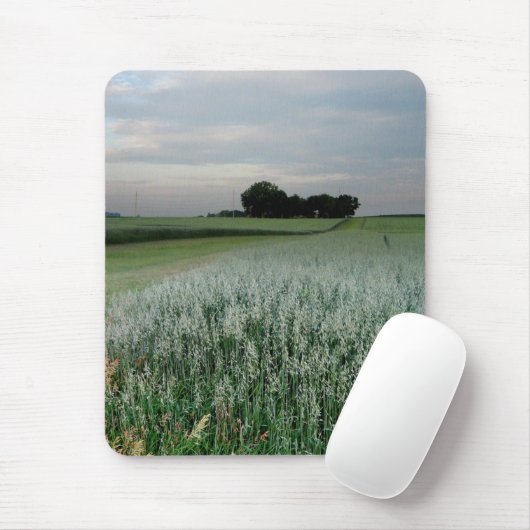 Mittelwestliches Weizenfeld Mousepad (Mit Mouse)