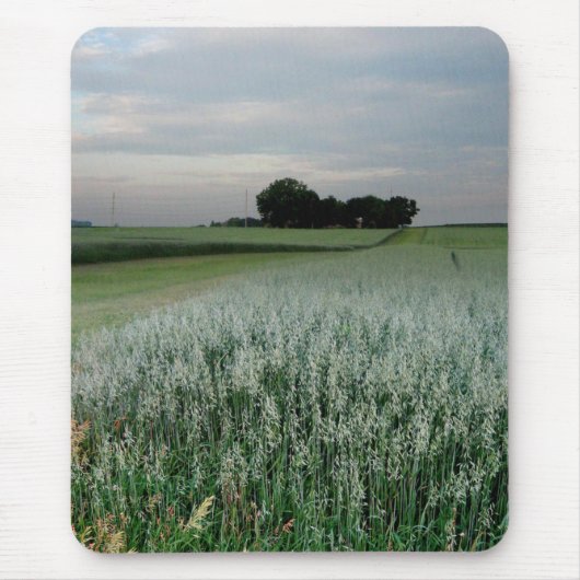 Mittelwestliches Weizenfeld Mousepad (Vorne)