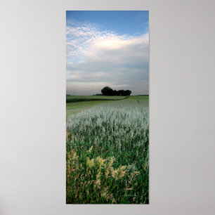 Mittelwestliches Weizenfeld Poster