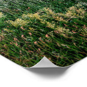 Mittelwestliches Weizenfeld Poster (Ecke)