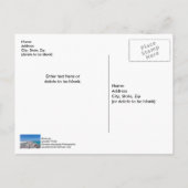 Mitten in der Muschel Jetty Postcard Postkarte (Rückseite)