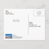 Mitten in der Muschel Postkarte (Rückseite)