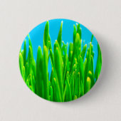 MITTENS - GRASS BUTTON (Vorderseite)