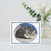 Mittens Kitten Nickerchen Postcard Postkarte (Stehend Vorderseite)