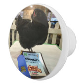 Mitternacht Ameraucana Champion Hühnerknopf ziehen Keramikknauf (Rechts)