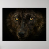 Mitternacht Blick auf Schwarzer Wolf Wildtiere Poster (Vorne)