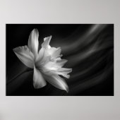 Mitternacht Blossom Print, Value Poster Paper (Mat (Vorne)