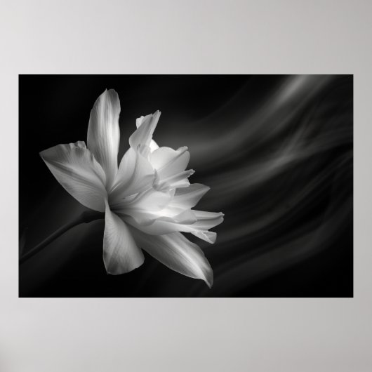 Mitternacht Blossom Print, Value Poster Paper (Mat (Vorne)