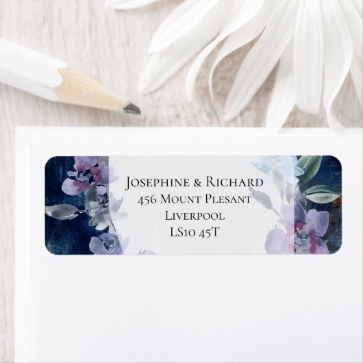 Mitternacht Blue Anemone blühende, rustikale Schön (Insitu)