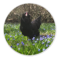 Mitternacht-Blume-Knöpfe ziehen Hühnerfleisch Schw