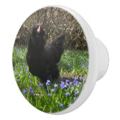 Mitternacht-Blume-Knöpfe ziehen Hühnerfleisch Schw Keramikknauf (Rechts)