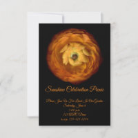 Mitternacht Blume oder Sonnenschein
