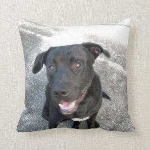 Mitternacht der schwarze Lab smilt Kissen