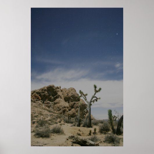 Mitternacht im Mojave Poster (Vorne)