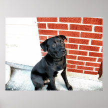 Mitternacht macht eine Kamera-Pose