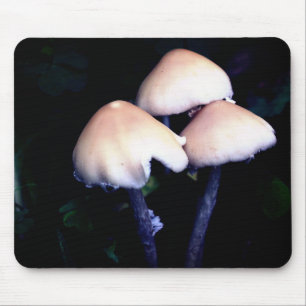 Mitternacht Pilze Natur Mousepad