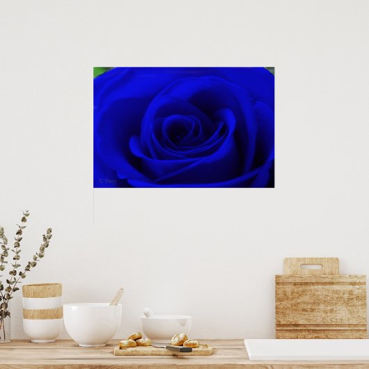 Mitternacht Poster (Küche)