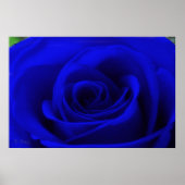 Mitternacht Poster (Vorne)