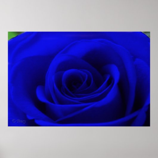 Mitternacht Poster (Vorne)