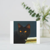 Mitternacht Postkarte (Stehend Vorderseite)