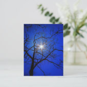 Mitternacht Postkarte (Stehend Vorderseite)