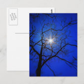 Mitternacht Postkarte (Vorne/Hinten)