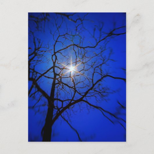 Mitternacht Postkarte (Vorderseite)