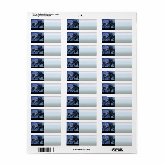 Mitternacht Radtour (Vorne)