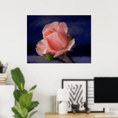 Mitternacht-Rose Poster (Heimbüro)