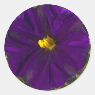 Mitternacht Shade Runder Aufkleber