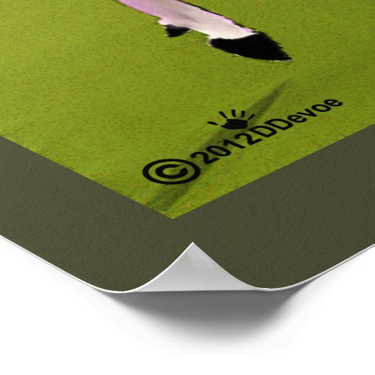 Mitternacht Sun Polo Poster (Ecke)