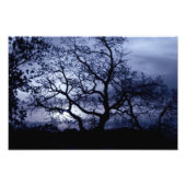 Mitternacht Sunset Fotodruck (Vorne)
