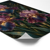Mitternachts-Iris-Kunststudie Druck Poster (Ecke)