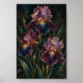 Mitternachts-Iris-Kunststudie Druck Poster (Vorne)