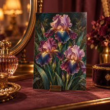 Mitternachts-Iris-Kunststudie Druck