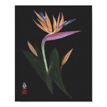 Mitternachts-Paradiesvogel-Kunst