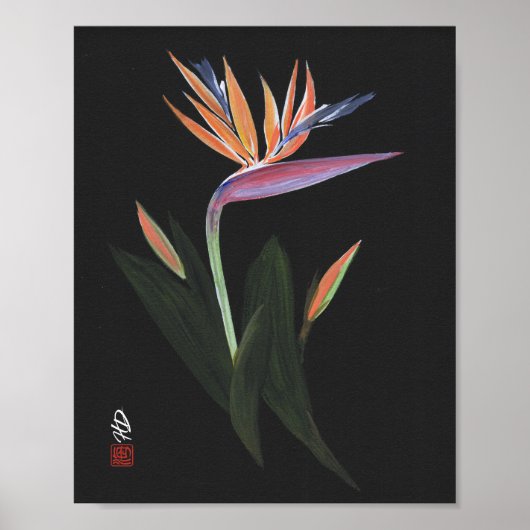 Mitternachts-Paradiesvogel-Kunst Poster (Vorne)