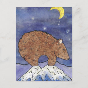 Mitternachtsbär Postkarte