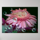 Mitternachtsblossom - Print Poster (Vorne)