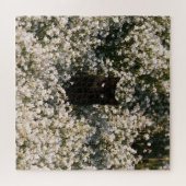 Mitternachtsblüten Katzen Puzzle (Horizontal)