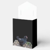 "Mitternachtsfedern: Ein schwarzes Huhn in Popout  Geschenkschachtel (Geöffnet)