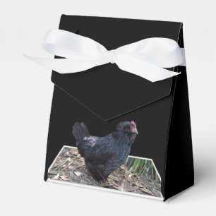 "Mitternachtsfedern: Ein schwarzes Huhn in Popout  Geschenkschachtel