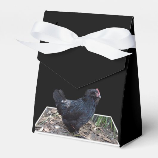 "Mitternachtsfedern: Ein schwarzes Huhn in Popout  Geschenkschachtel (Vorderseite)