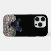 "Mitternachtsfedern: Ein schwarzes Huhn in Popout- iPhone Hülle (Rückseite (Horizontal))