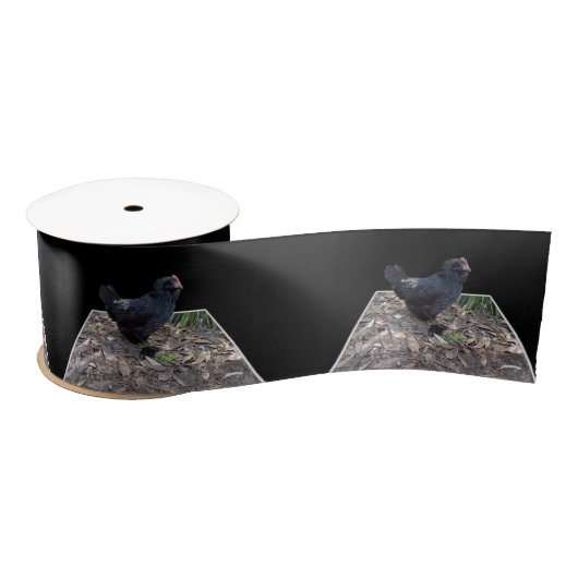 "Mitternachtsfedern: Ein schwarzes Huhn in Popout Satinband (Spule)