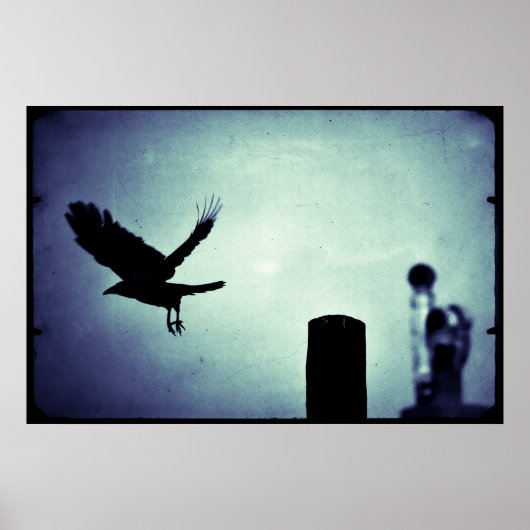 Mitternachtsflug der Elster Poster (Vorne)