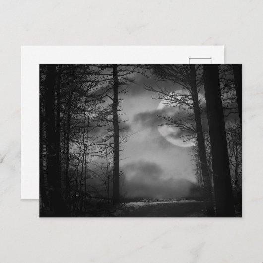 Mitternachtsmond - B&W Postkarte (Vorne/Hinten)