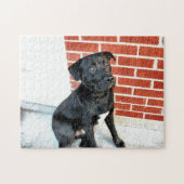 Mitternachtssitze für eine Pose Puzzle (Horizontal)