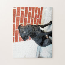 Mitternachtssitze für eine Pose